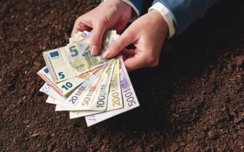 利息超过本金多少可以不用还，计算一下就知道了