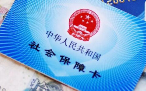 上海社保怎么查询缴费记录，办理社保需要的资料