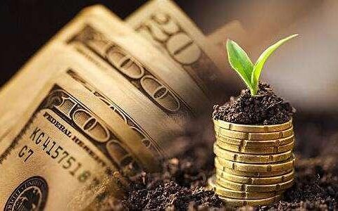 申请好分期查征信吗，这些信息都要审核