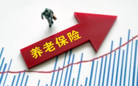 怎样在网上自己交社保，这些事项要注意