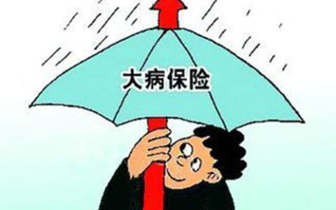 农民大病救助怎么办理，大病医疗险的作用