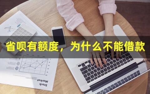 省呗有额度，为什么不能借款
