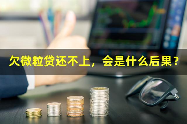 欠微粒贷还不上，会是什么后果？