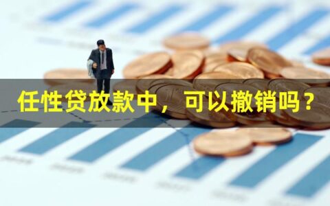 任性贷放款中，可以撤销吗？