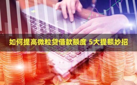如何提高微粒贷借款额度？教你5个妙招