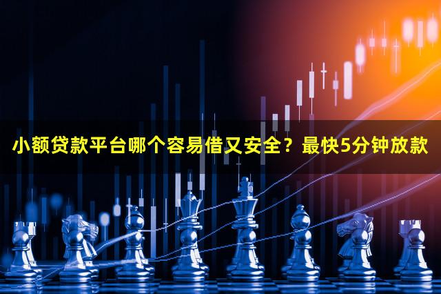 小额贷款平台哪个容易借又安全？最快5分钟放款