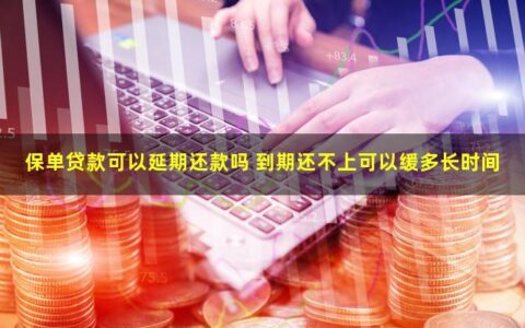 保单贷款可以延期还款吗？能延期多久？