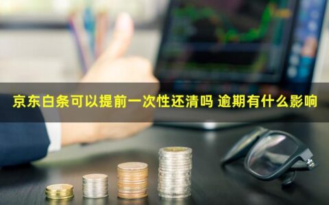 你知道京东白条可以提前一次性还清吗？