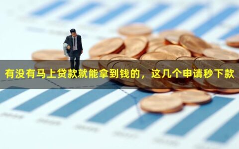 什么贷款能马上拿到钱？低门槛下款网贷大盘点