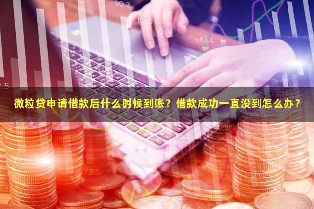微粒贷申请借款后什么时候到账？借款成功一直没到怎么办？