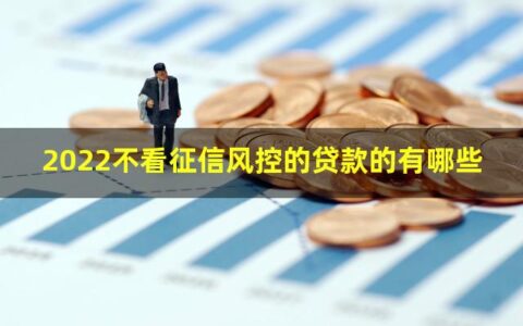 2022不看征信和风控的贷款有哪些？