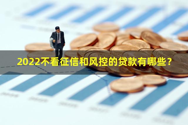 2022不看征信和风控的贷款有哪些？