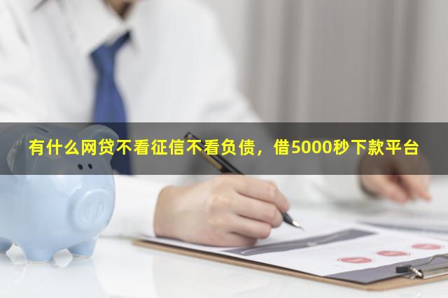 有什么网贷不看征信不看负债，借5000平台