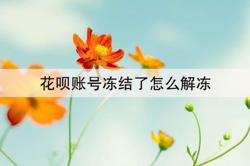 花呗账户冻结怎么使用才可以解冻？