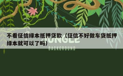 有车绿本可征信太差，如何贷款？