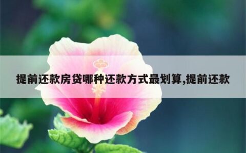 房贷还款方式哪种最划算？看完这篇文章就懂了