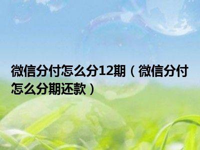 分付可以分期还款吗？