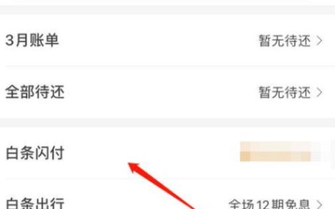 京东白条能用微信零钱还吗？