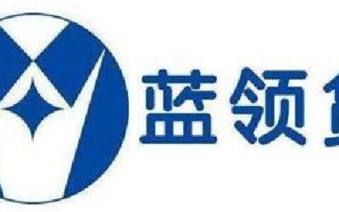 蓝领贷app：为蓝领群体提供便捷、高效的金融服务