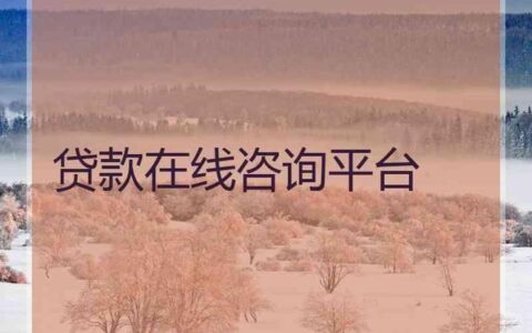 贷款在线咨询，如何才能更高效？