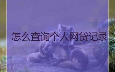 个人网贷记录查询系统，如何查询？