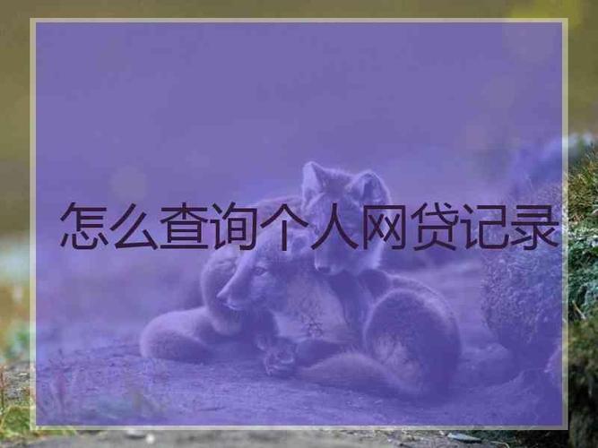 个人网贷记录查询系统，如何查询？