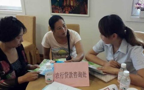 农村信用社10万无息贷款，如何申请？