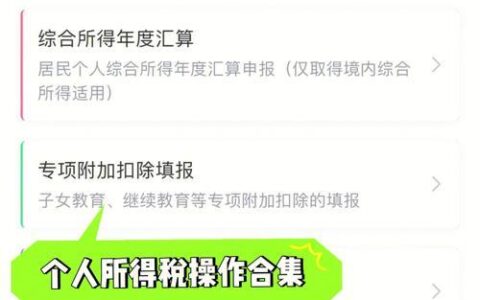 个人所得税怎么退税操作流程图
