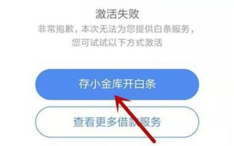 京东白条开通不了？教你解决方法