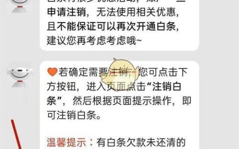 京东白条安全吗？如何保障京东白条的安全性？