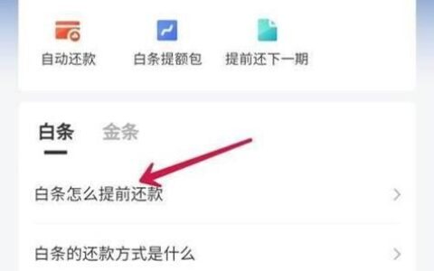 白条提前还款在哪里？