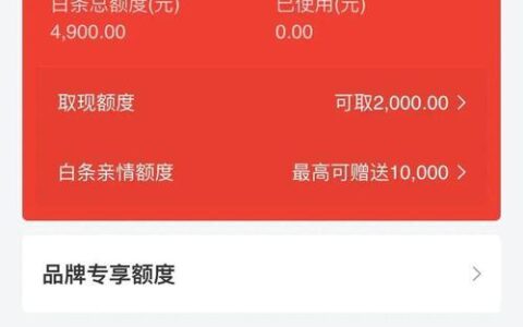 欠京东白条5000多200天，如何解决？
