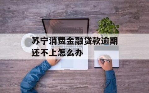 苏宁金融逾期还款怎么办？教你如何协商还款