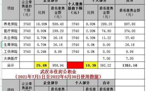 武汉社保最低缴费标准2023年最新解读