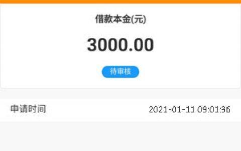 借款1000元马上放款，哪里可以办理？