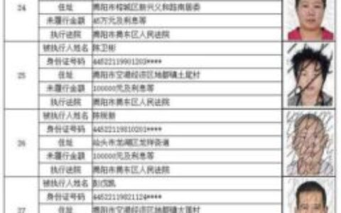 失信人员名单查询系统：助力社会信用体系建设