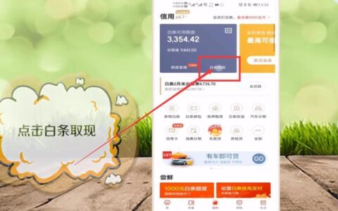 京东白条借款怎么申请？流程、条件、注意事项详解