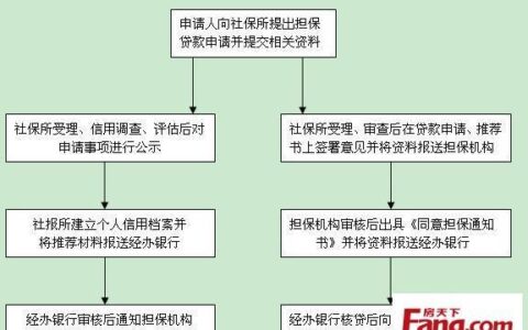 社保贷款怎样贷？办理流程、条件、注意事项全解析