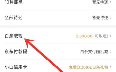 白条不小心12期分期怎么取消？教你两种方法