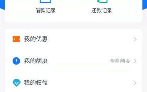 宝付网络是哪个借款？