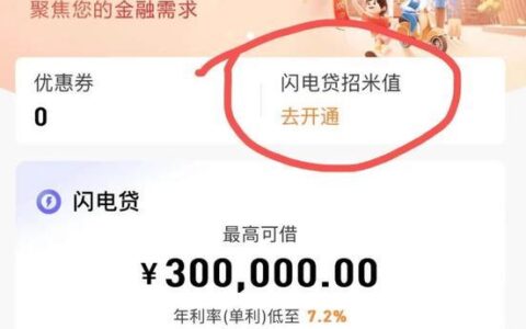 闪电贷需要什么条件才能通过？