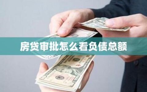 哪个贷款不看负债？