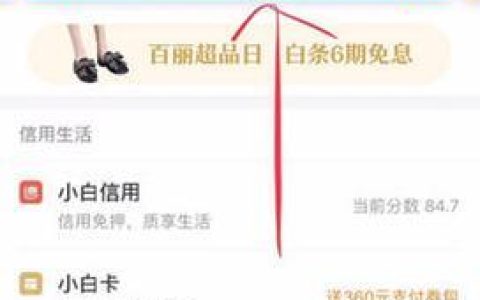 京东借钱怎么借？流程、条件、注意事项全解析