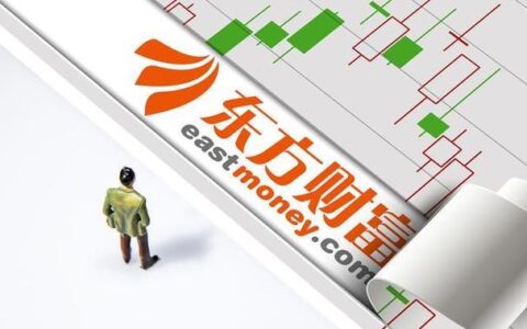 东方财富证券：互联网券商的领头羊