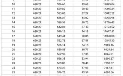 私人借2万一个月利息多少？