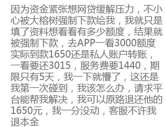 榕树贷款征信不好能贷吗？