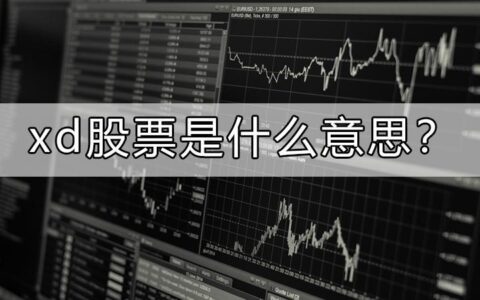 股票开头xd是什么意思？