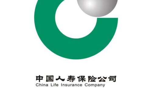 国寿财险是哪家保险公司？