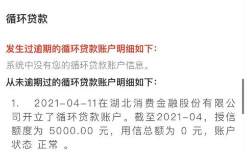 小鱼免审贷款怎么样？优势、劣势、注意事项详解