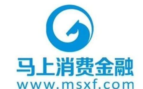 马上消费金融客服：专业、贴心、高效